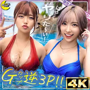 (mfc313)-パッケージ画像
