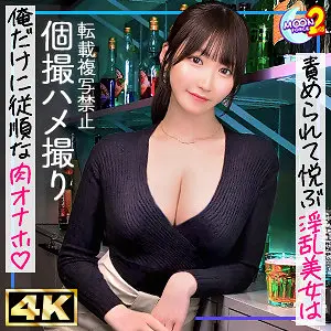 (mfcs172)-パッケージ画像